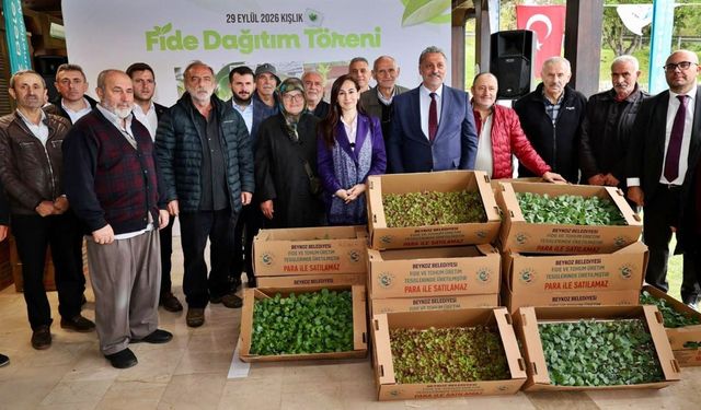 BEYKOZ'DA ÇİFTÇİLERE 625 BİN KIŞLIK FİDE DESTEĞİ